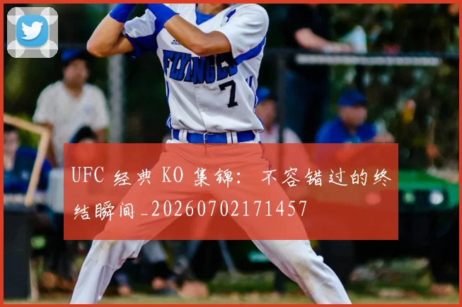 UFC 经典 KO 集锦:不容错过的终结瞬间_20260702171457