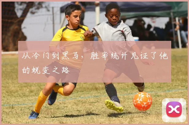 从冷门到黑马，胜率统计见证了他的蜕变之路